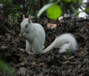 2016 06 11 WildLife MPLS 081